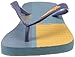 Havaianas Men's Trend Flip Flop