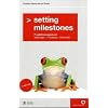 Setting Milestones: Projektmanagement Methoden - Prozesse - Hilfsmittel