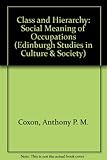 Class and hierarchy : the social meaning of occupations
