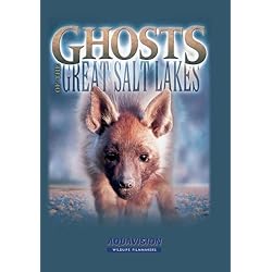 Ghosts of the Great Salt Lake