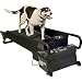 DogTread PZ1702 Medium Treadmill for Dogs