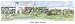 George Mason University - Collegiate Scenes - 9" x 18"