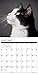 2016 Just Tuxedo Cats Wall Calendar