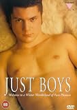 Review Meridian Entertainment  / Just Boys