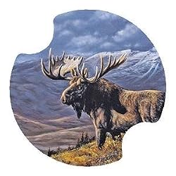 Cooper Moose Carsters - Coasters for Your Car