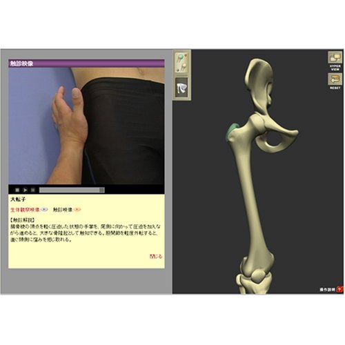 Cover image : CGで見る骨の辞書 骨ナビ2.0 骨触診動画付(スタンダード版)