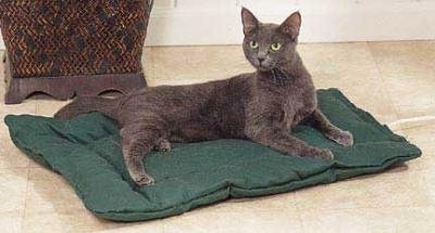 K&H Mfg Thermo Dog Bed 19 X 24 With Green Cotton Cover