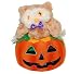Halloween Light Up Owl Jack-O-Latern - (Battery Powered), Orange