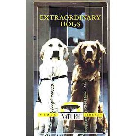 Extraordinary Dogs [VHS]