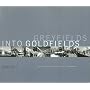 Greyfields into Goldfields: Dead Malls become Living Neighborhoods