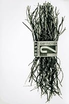 Best American Gay Fiction #2