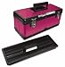 The Original Pink Box PB20MTB 20-Inch Steel Tool Box