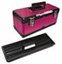 The Original Pink Box PB20MTB 20-Inch Steel Tool Box