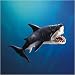 Great White Shark Puppet
