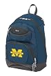 Datrek NCAA Team Back Pack