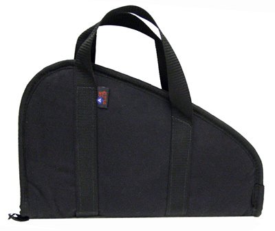 Ace Case 15