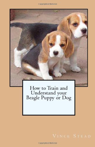 How to Train and Understand your Beagle Puppy or Dog-how to train puppy