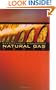 Effectively Managing Natural Gas Costs