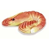 Siro Designs 67-120 Caribe Themed Knob - Coral