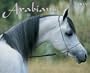 Arabians
