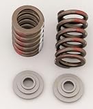 Crane 13308-1 Valve Spring and Retainer Kit