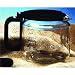 Medelco Inc. GL212BK OneAll Universal Replacement Coffee Carafe