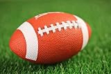 Rugby Ball on a Patch of Grass - 24