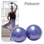 Weighted Balls by WellnessGear (1-Pair), 1LB Each