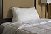 eLuxurySupply Reading Wedge Bed Pillows| Two Fill Options to Choose from - Down and Down Alternative | Cotton Casing Made in The USA