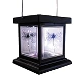 Détails sur le produit