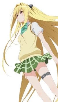 To LOVEる-とらぶる- ダークネス 第5巻 アニメDVD付予約限定版
