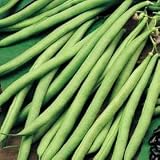 from A1-Homes Climbing French Bean Cobra - 60 seeds - heavy crops of stringless beans