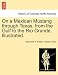 Search : On a Mexican Mustang through Texas, from the Gulf to the Rio Grande. Illustrated.