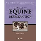 Click here to buy Manual of Equine Reproduction by  Terry L. Blanchard, Dickson D. Varner, Charles C. Love, and Steven P. Brinsko.