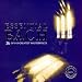 Music : Essential Bach