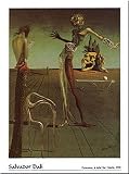 Woman with Head of Roses - Artist: Salvador Dali - Art Print Poster Size: 16.00 by 20.00 inches