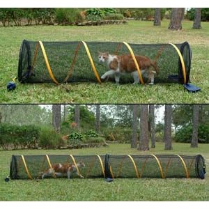 Cheap Outdoor Cat Enclosures ABO Gear