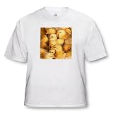 Baby Chicks - Toddler T-Shirt (2T)