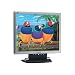 Viewsonic VA902 19 Zoll TFT monitor silber/schwarz (Kontrast 550:1, 8 Ms Reaktionszeit)