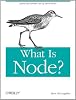 What Is Node?