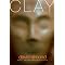 2007 ALA Best Books for Young Adults (Fiction, Part 1)