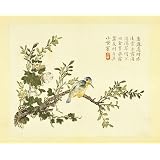 Bird on a blossom branch (Print On Demand)