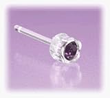 Blomdahl Medical Plastic Earrings - Amethyst