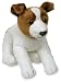 Kids Preferred Asthma and Allergy Friendly Jack Russell