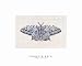 All a Flutter, Art Poster by Jennette Brice, size 20 x 16