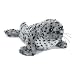 Webkinz Spotted Seal