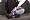 Bissell 1719 SpotLifter 2X Portable Deep Cleaner Carpet Cleaner