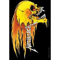 Metallica,Skull & Flames, Fahne