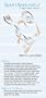 SportSpectator Men's Lacrosse Guide (Basic Lacrosse Rules and Strategies)