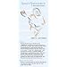 SportSpectator Men's Lacrosse Guide (Basic Lacrosse Rules and Strategies)